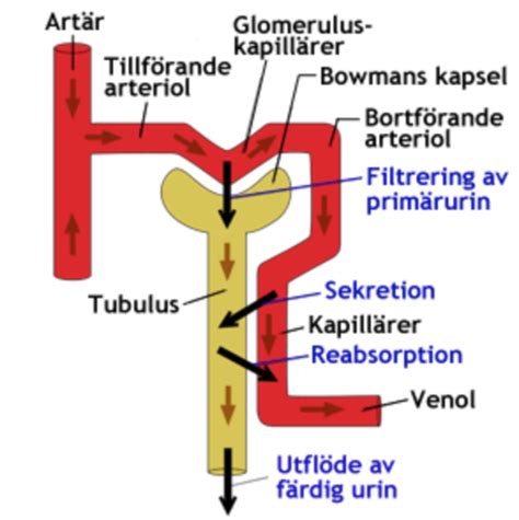 Recept vid njursvikt